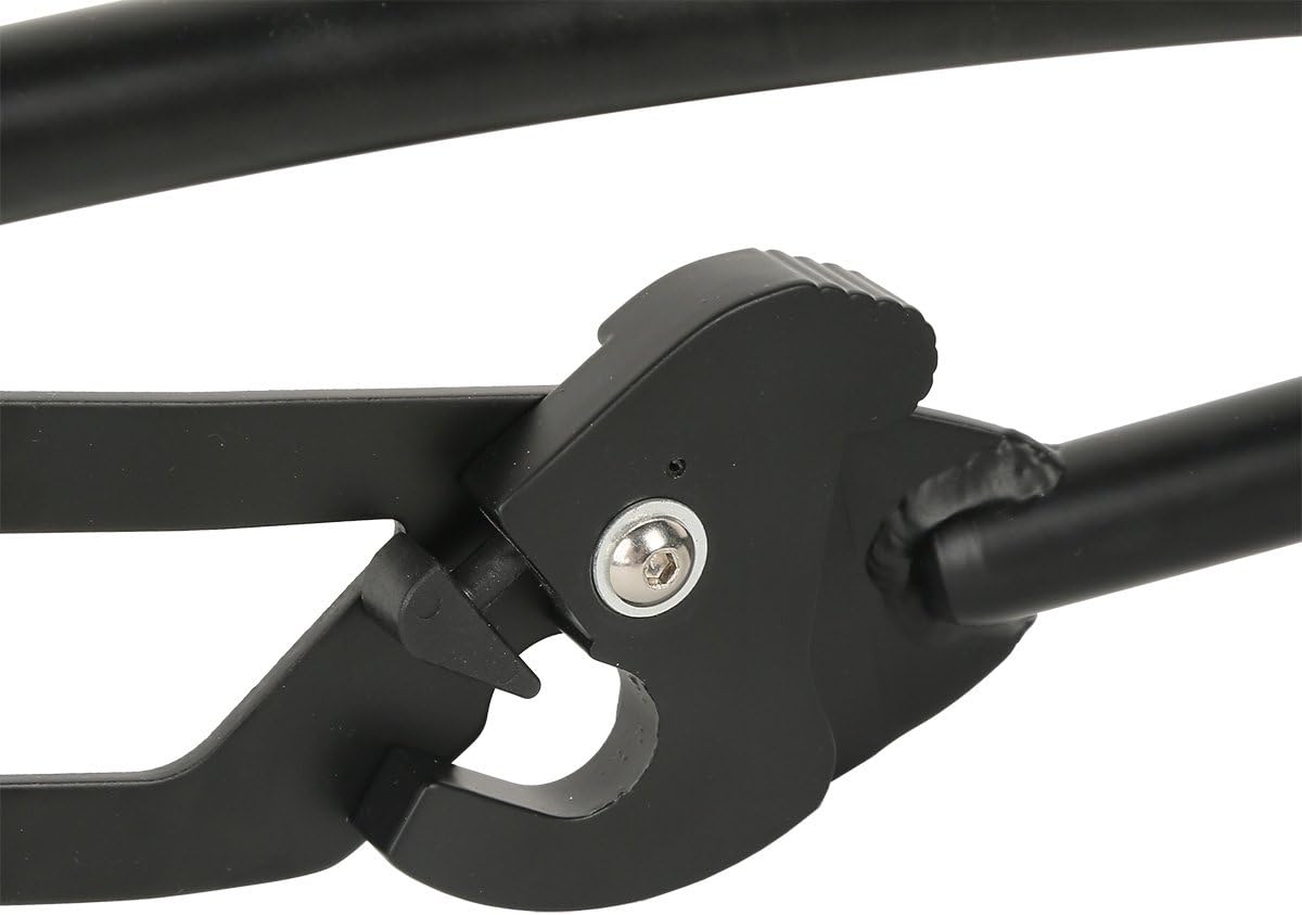 TCMT 2 Up Luggage Rack & Backrest Fits For Harley Street 500 750 XG500 XG750 2015-2020 (Luggage Rack)